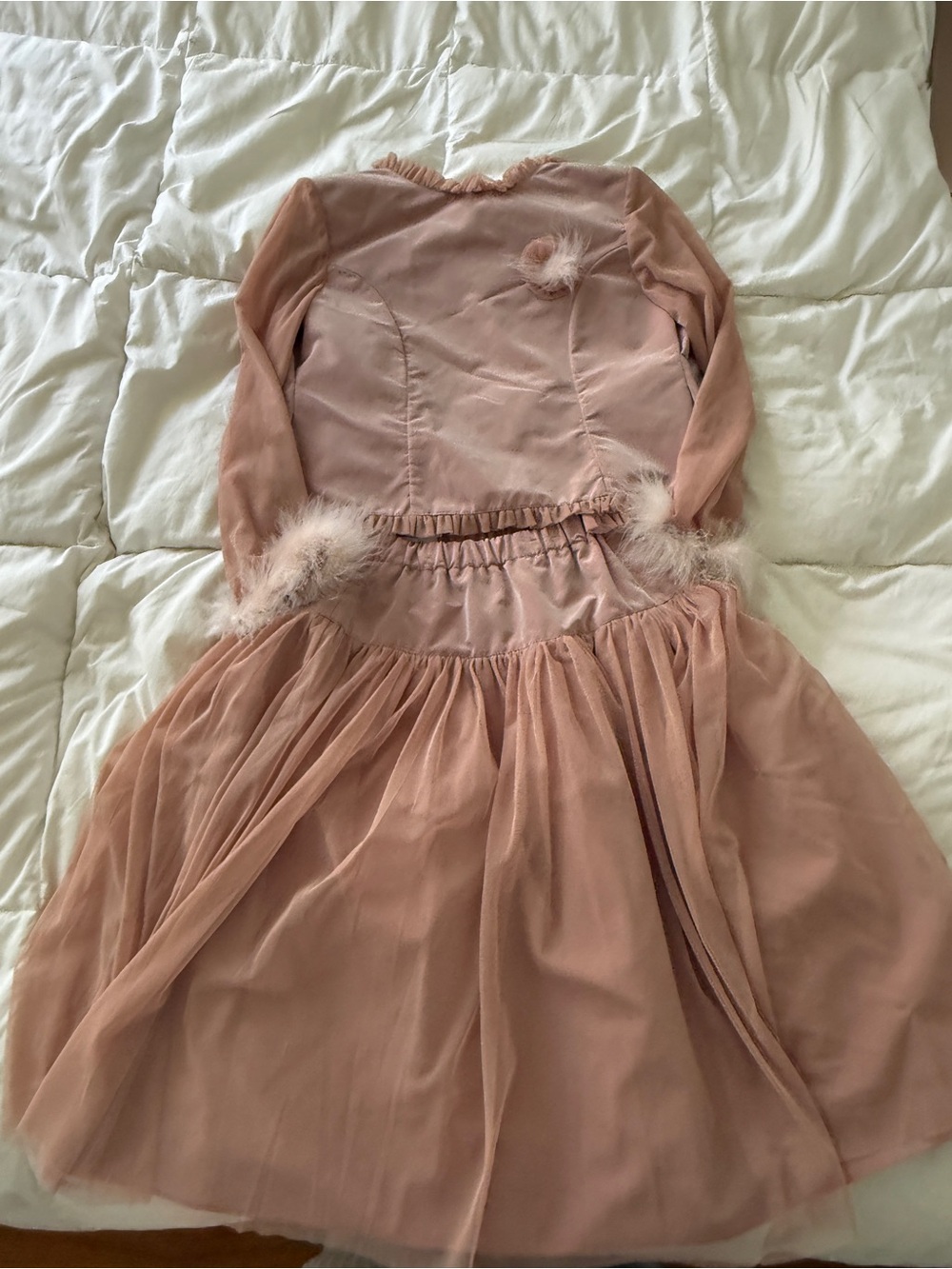 Girls' Dusty Pink Tulle Party Dress with Feather Accents